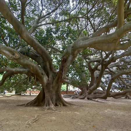 Gemma Di Gallura Charme Bed & Breakfast 4*