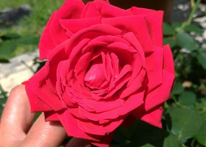 Frühstückspension Gemma Di Gallura Charme 4*