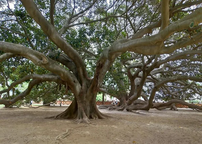 Gemma Di Gallura Charme Panzió 4*