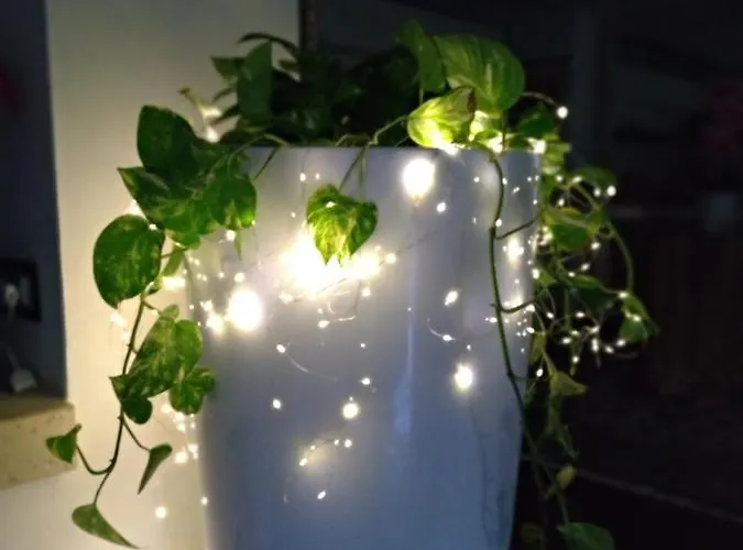 Gemma Di Gallura Charme 4*